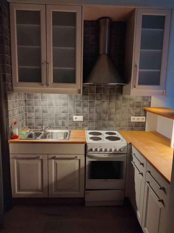 Dtown Apartment For 2-3 Persons Reykjavík Esterno foto